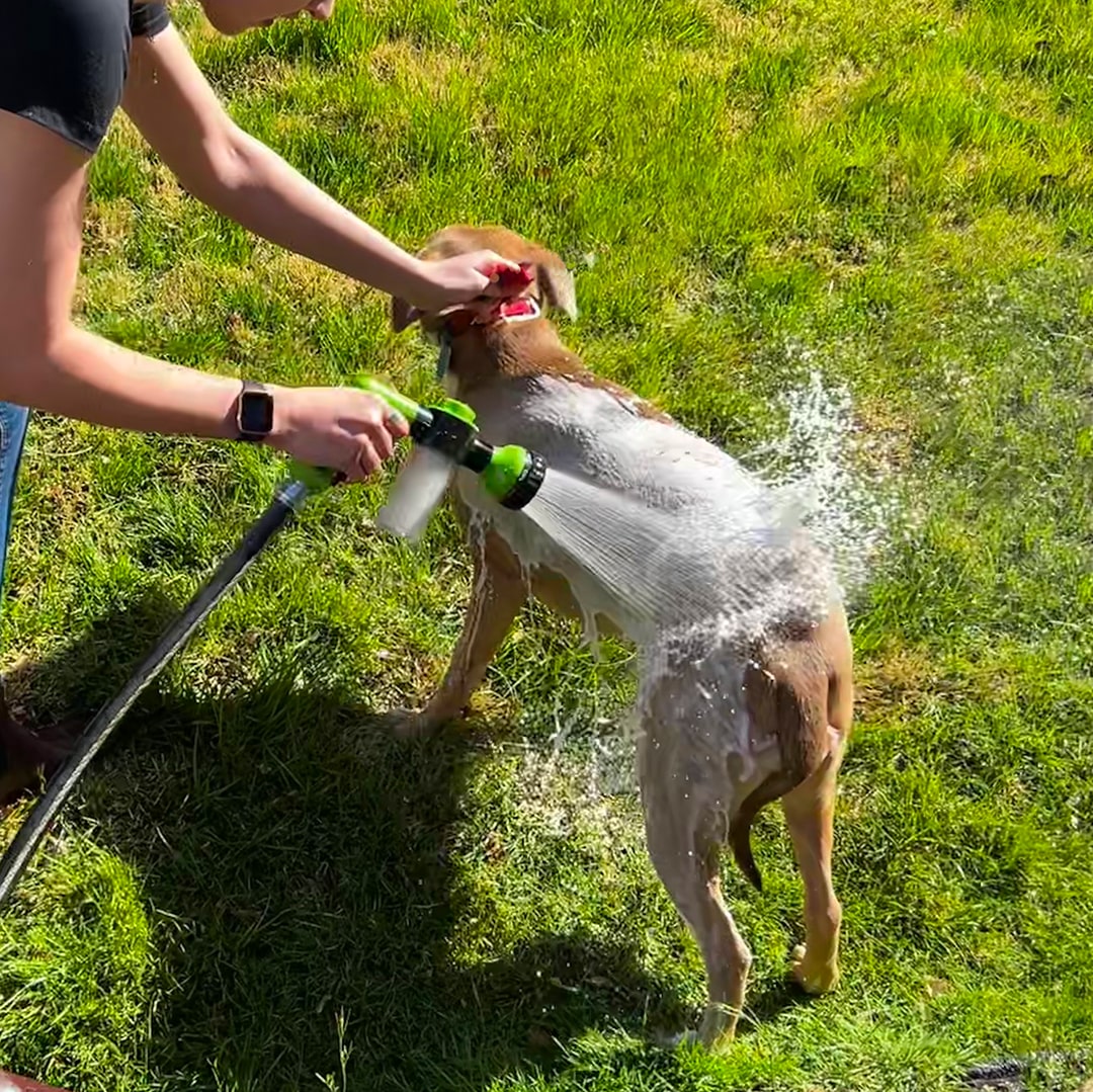 Spray de curățare ușor și rapid pentru animale