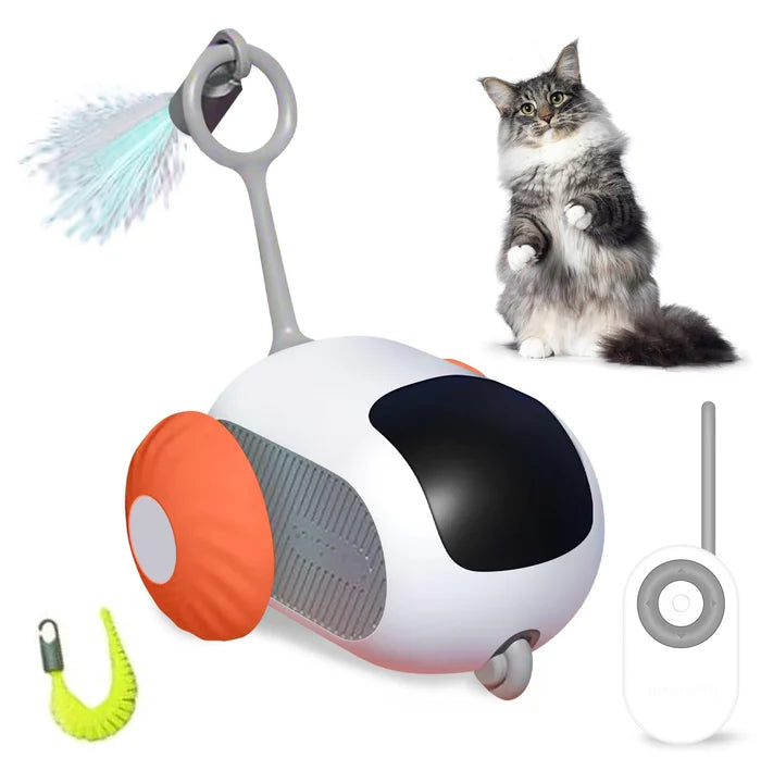 Interactive toy for cats: Smart and engaging fun
