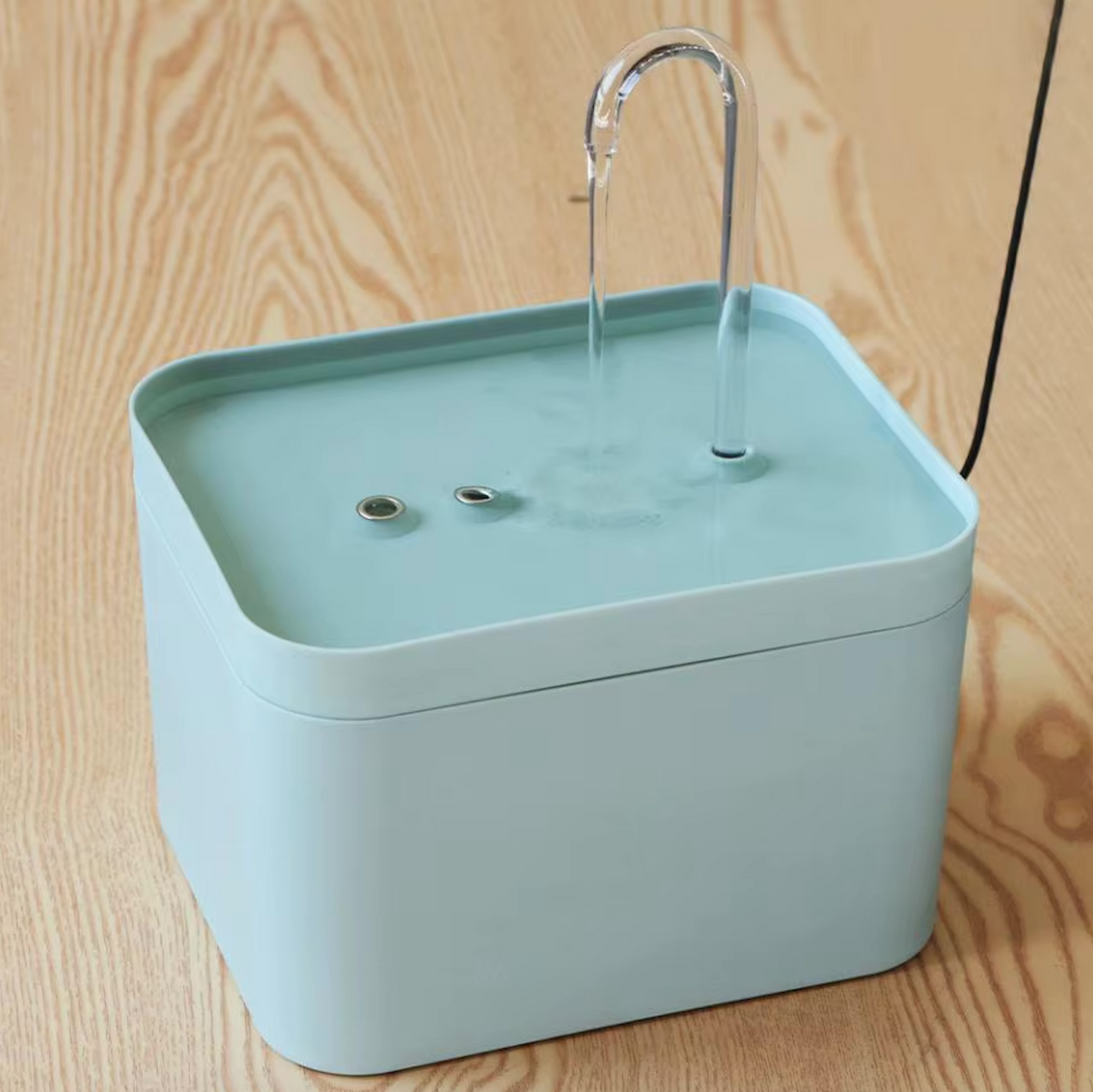 Water fountain for optimal hydration of your cat