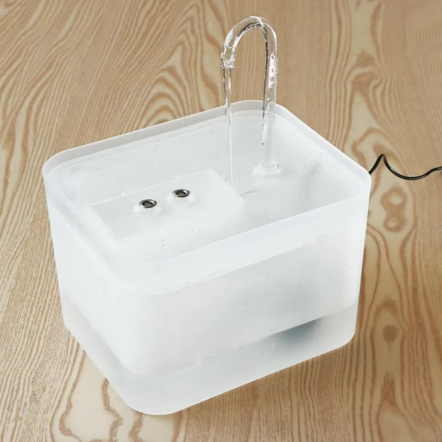 Water fountain for optimal hydration of your cat