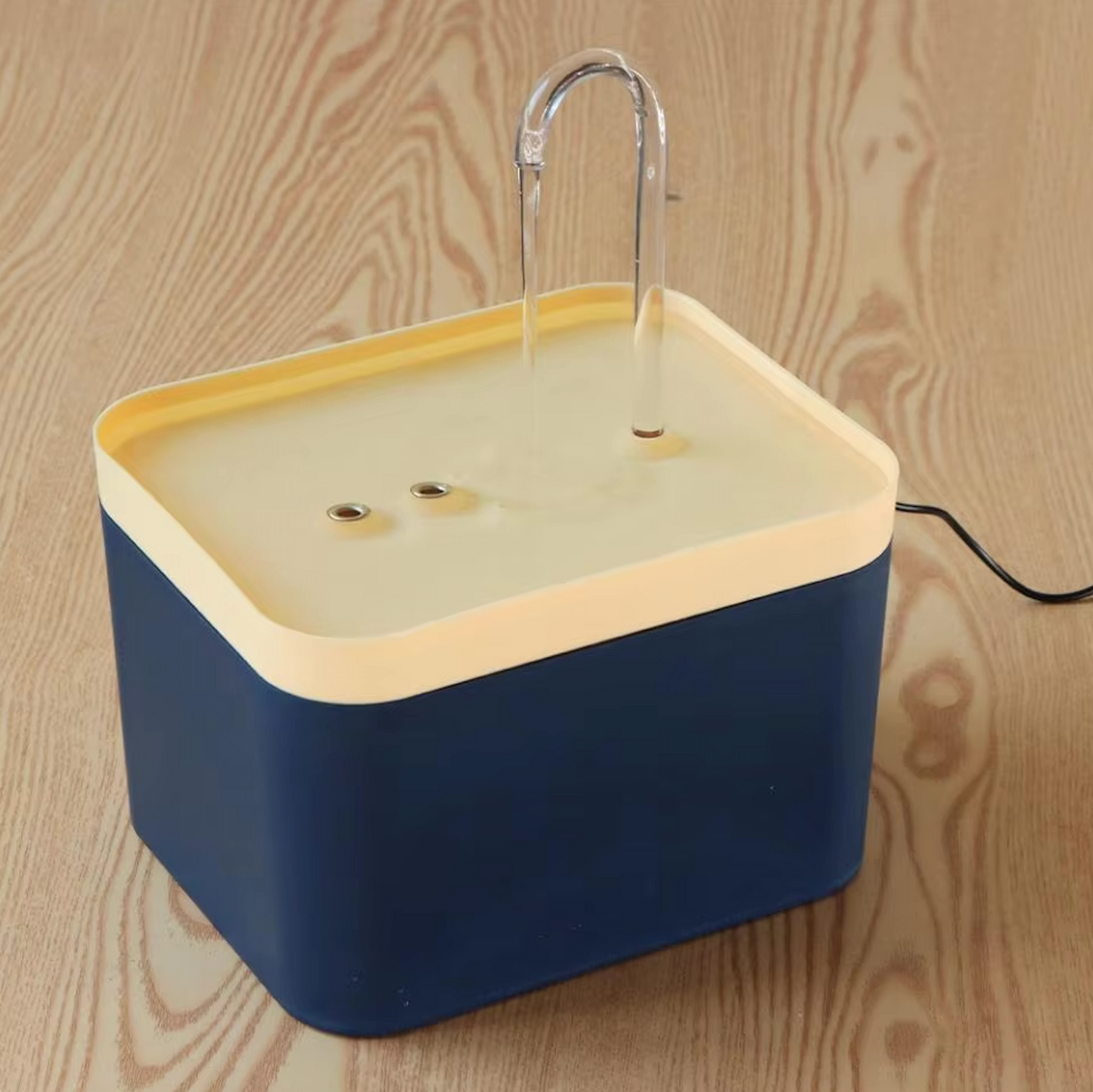 Water fountain for optimal hydration of your cat