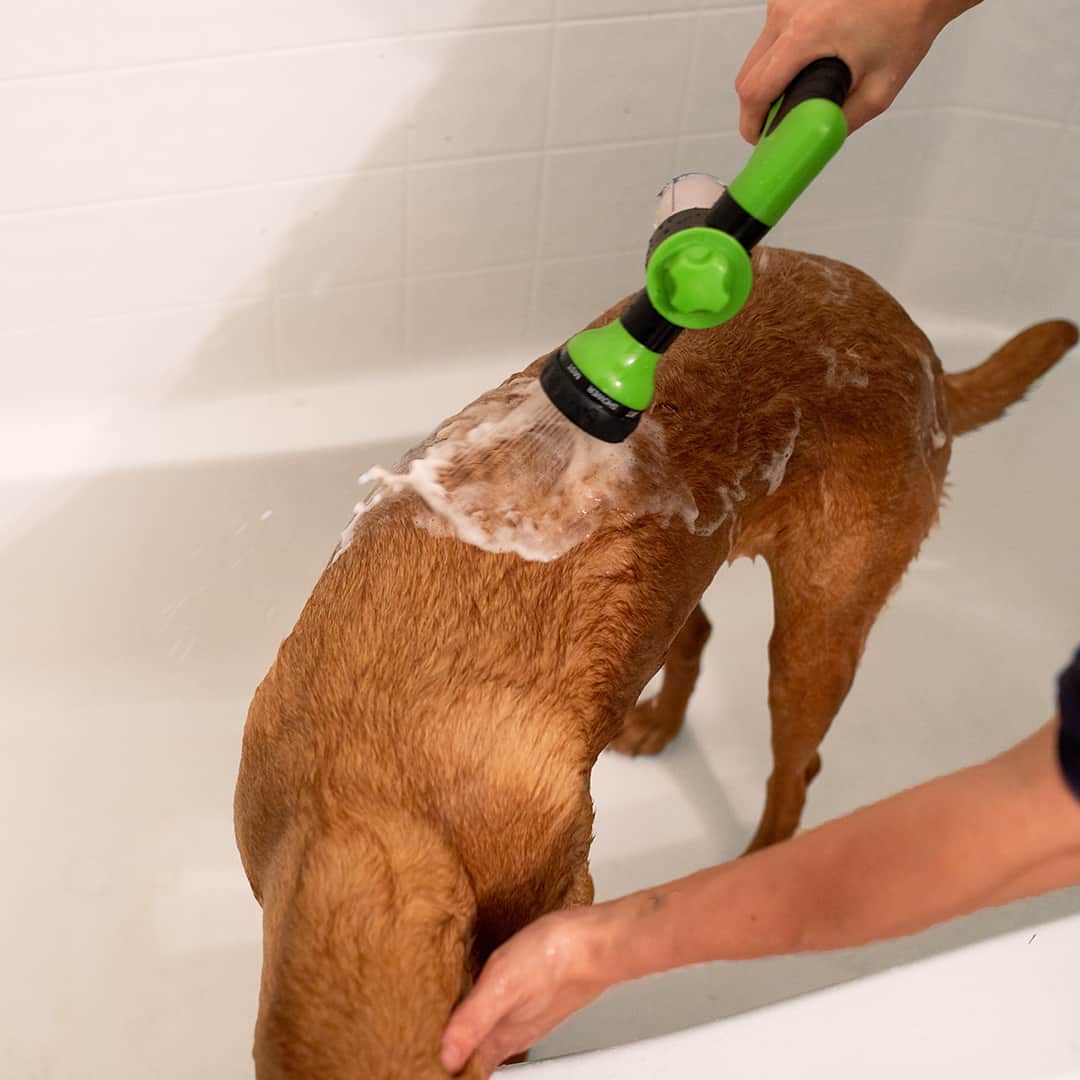Spray de curățare ușor și rapid pentru animale