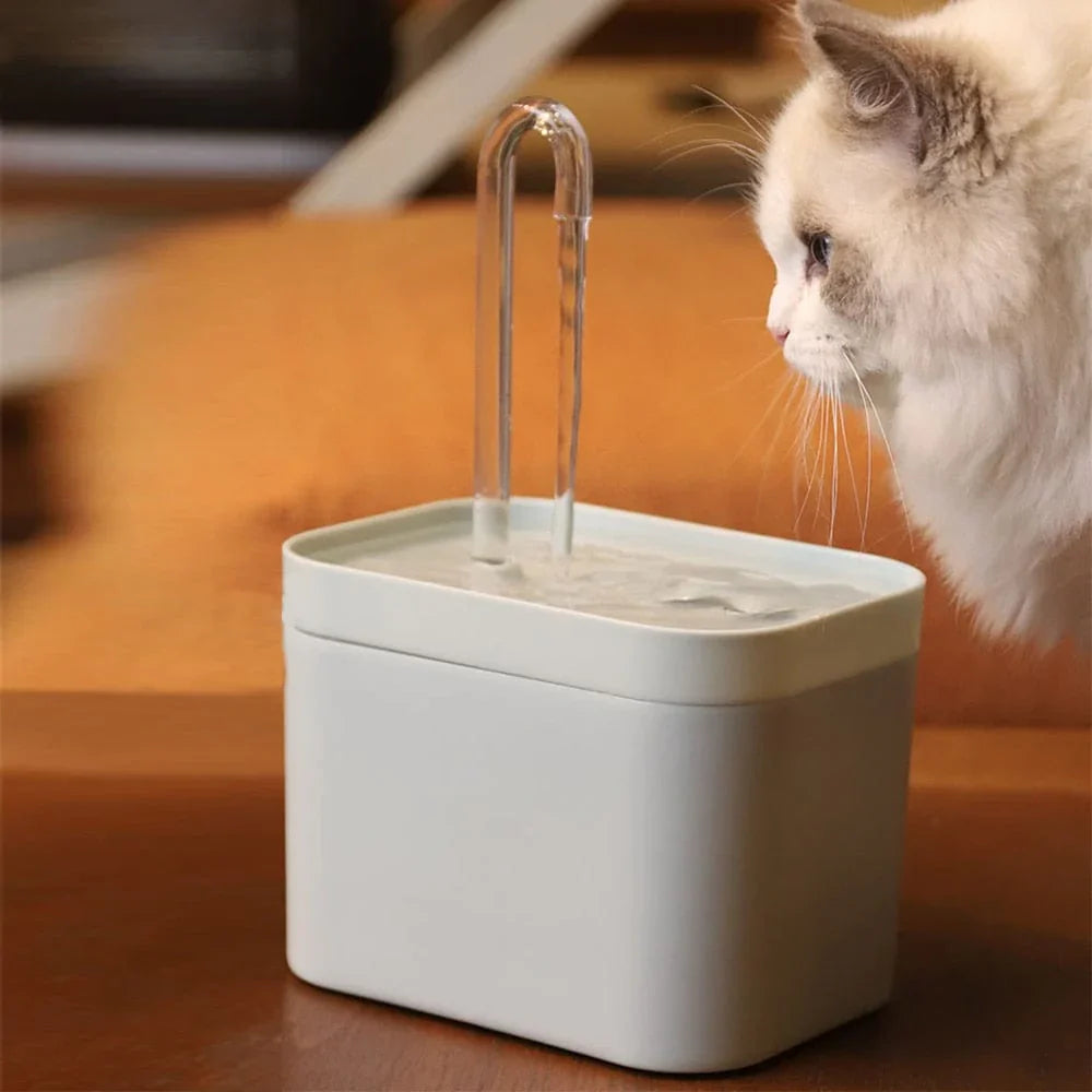 Water fountain for optimal hydration of your cat