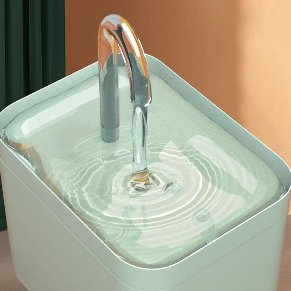 Water fountain for optimal hydration of your cat