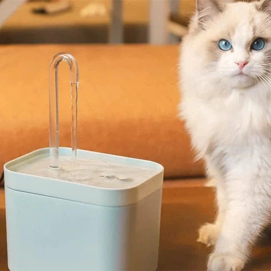 Water fountain for optimal hydration of your cat